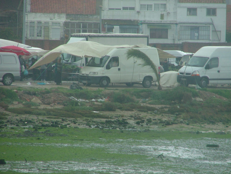 [vendaval+no+mercado.JPG]