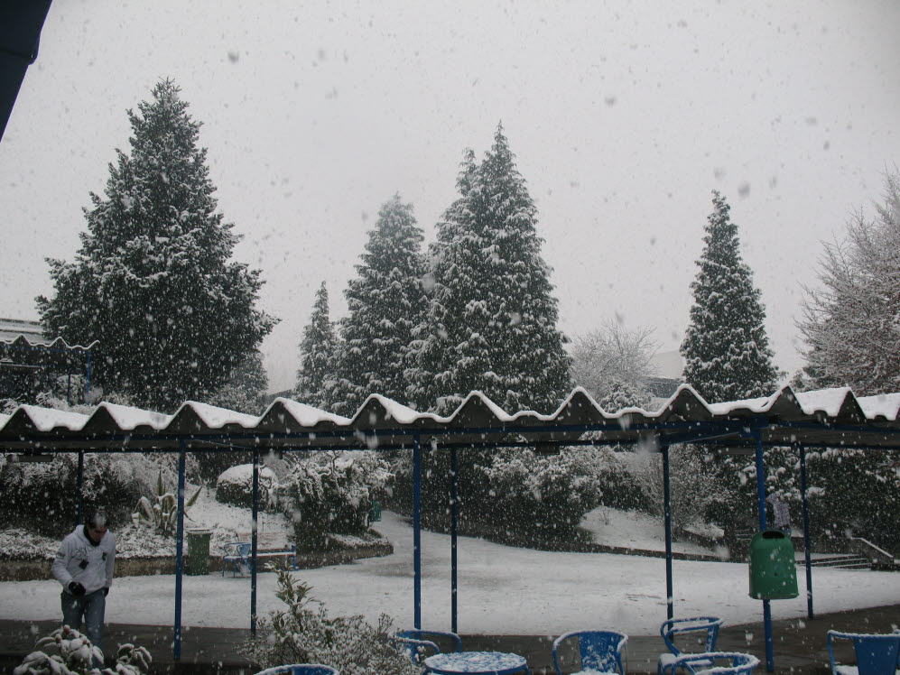 [IMG_9334.JPG]