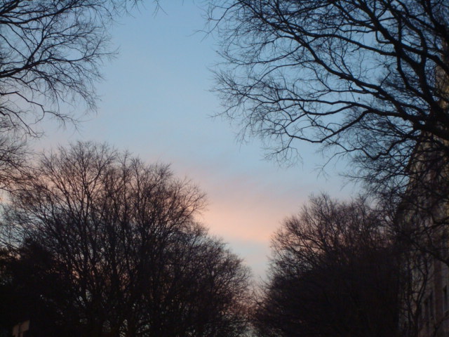 [DSC07461.JPG]