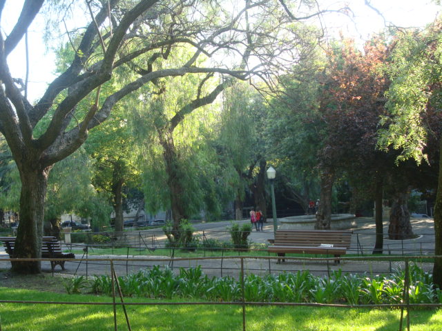 [DSC00059.JPG]