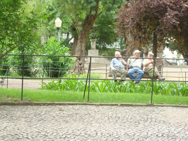 [DSC02210.JPG]