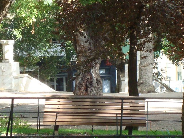 [DSC06258.JPG]