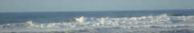 [Copy+of+DSC06365.JPG]