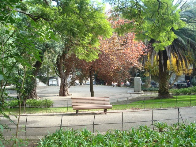[DSC06908.JPG]