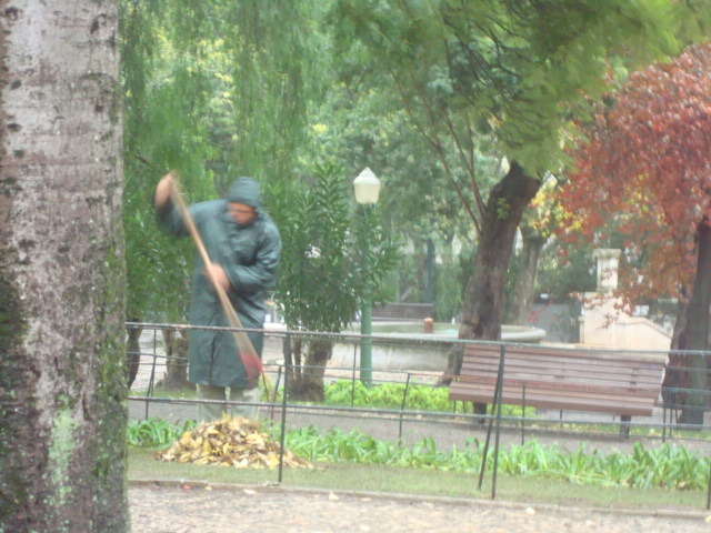 [DSC07029.JPG]