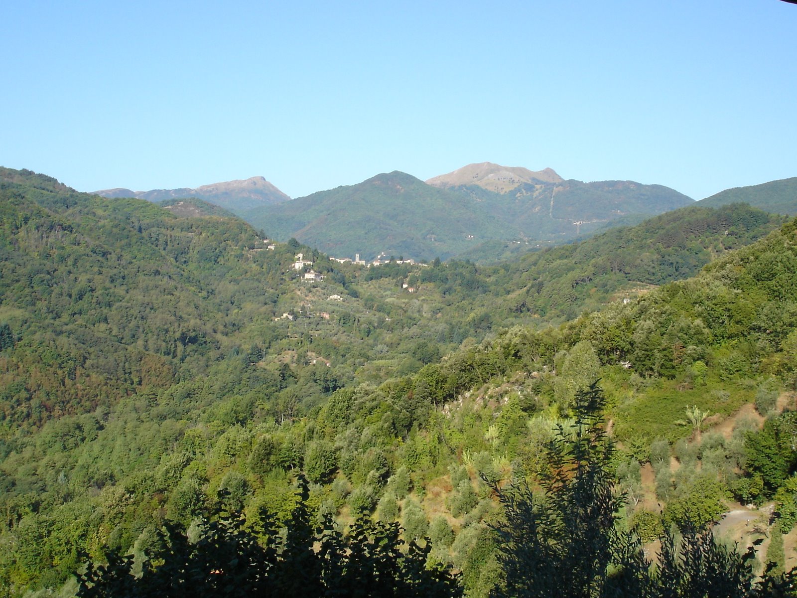 [DSC00446.JPG]