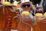 Monroe Farmer's Market