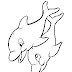 Desenho golfinho colorir