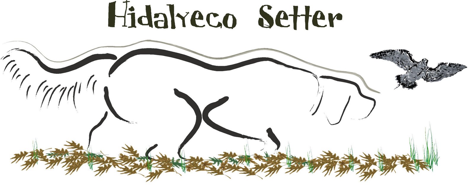 HIDALYECO SETTER