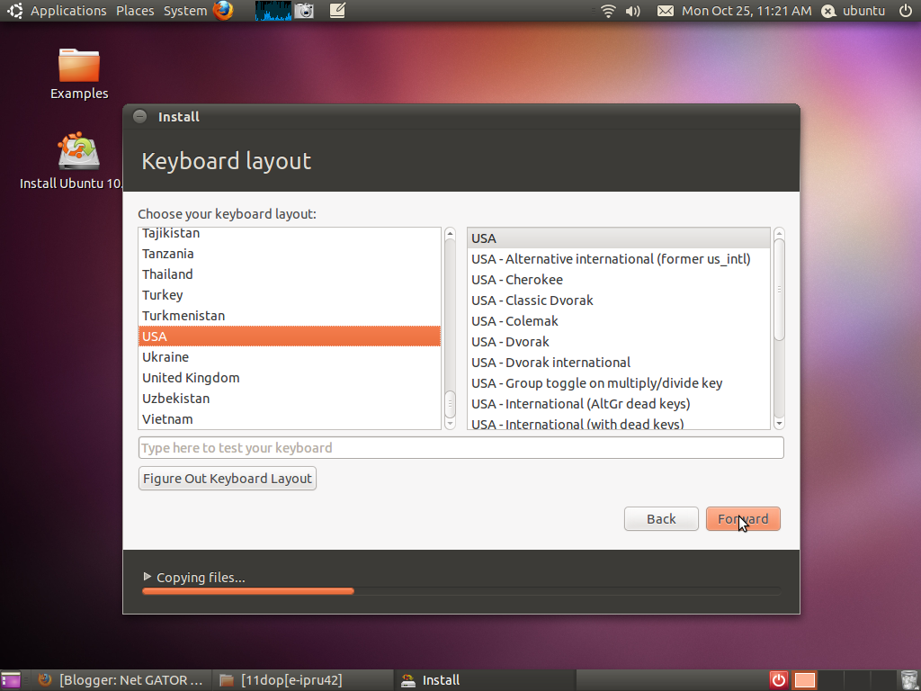 Ubuntu 10.10 installation guide and gallery Net Gator