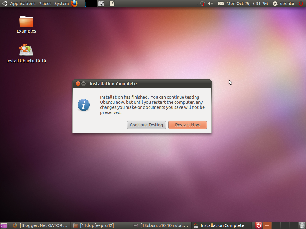 Ubuntu Installation Guide