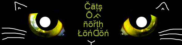 Cats of North London