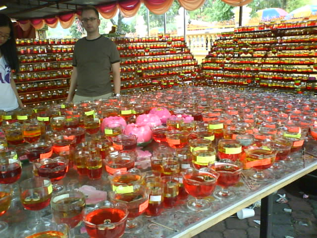 [DSC06421.JPG]
