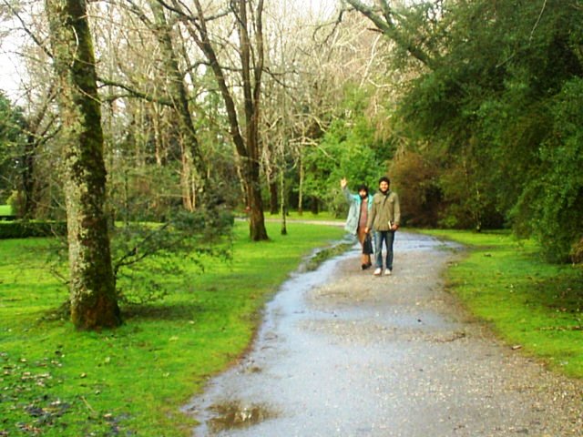 [S3010040.JPG]