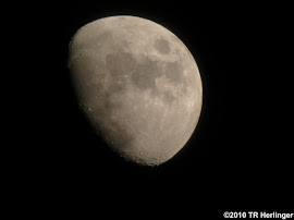 Waxing Gibbous Moon