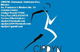 DIRECCIÓN  CIPDYN