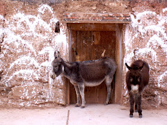 donkeys outside nun's home
