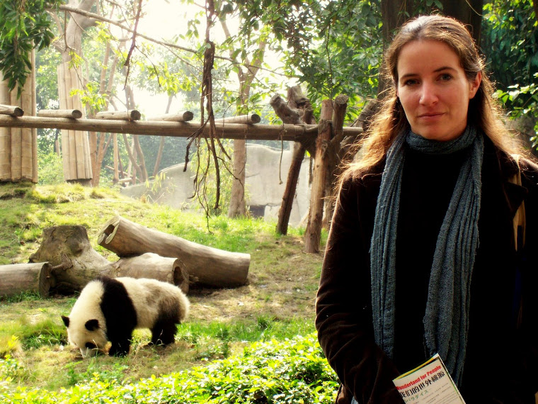 with pandas in chengdu