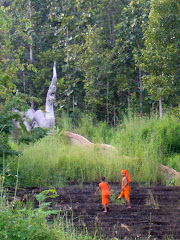 monks cimbing hill, Mae Hong Son