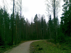 Latokaski