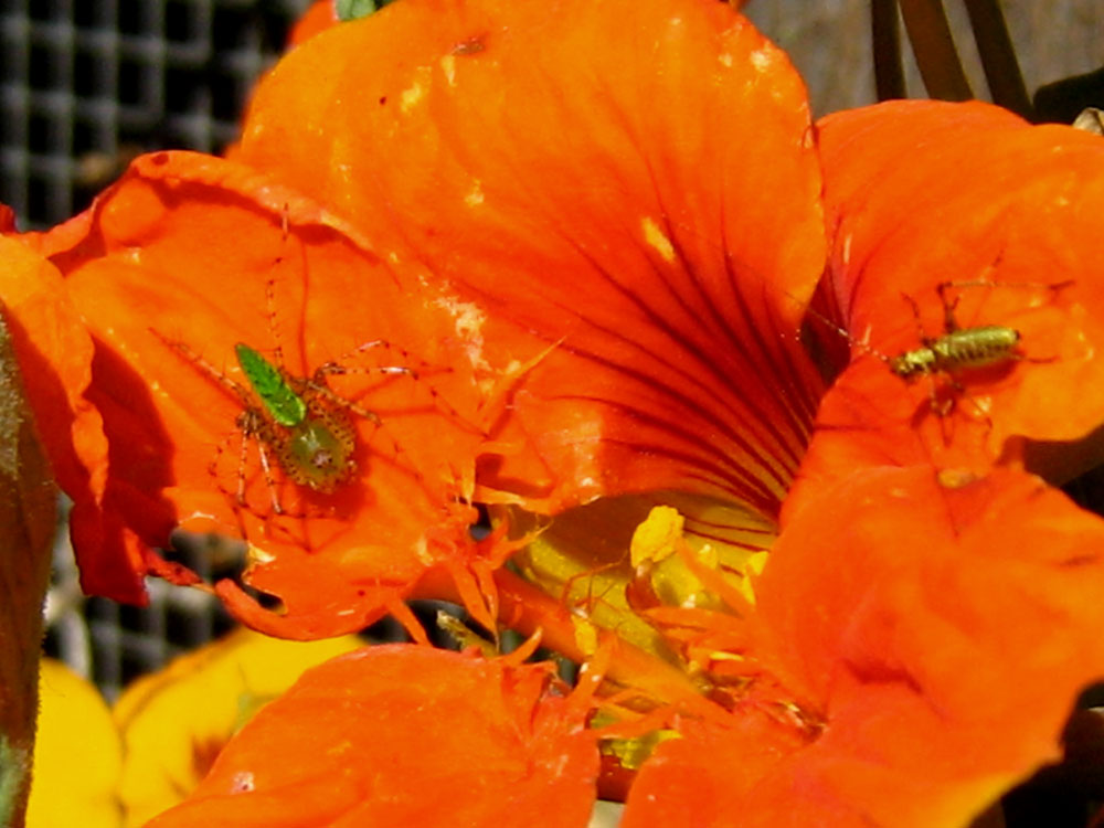 [IMG_2825.jpg]