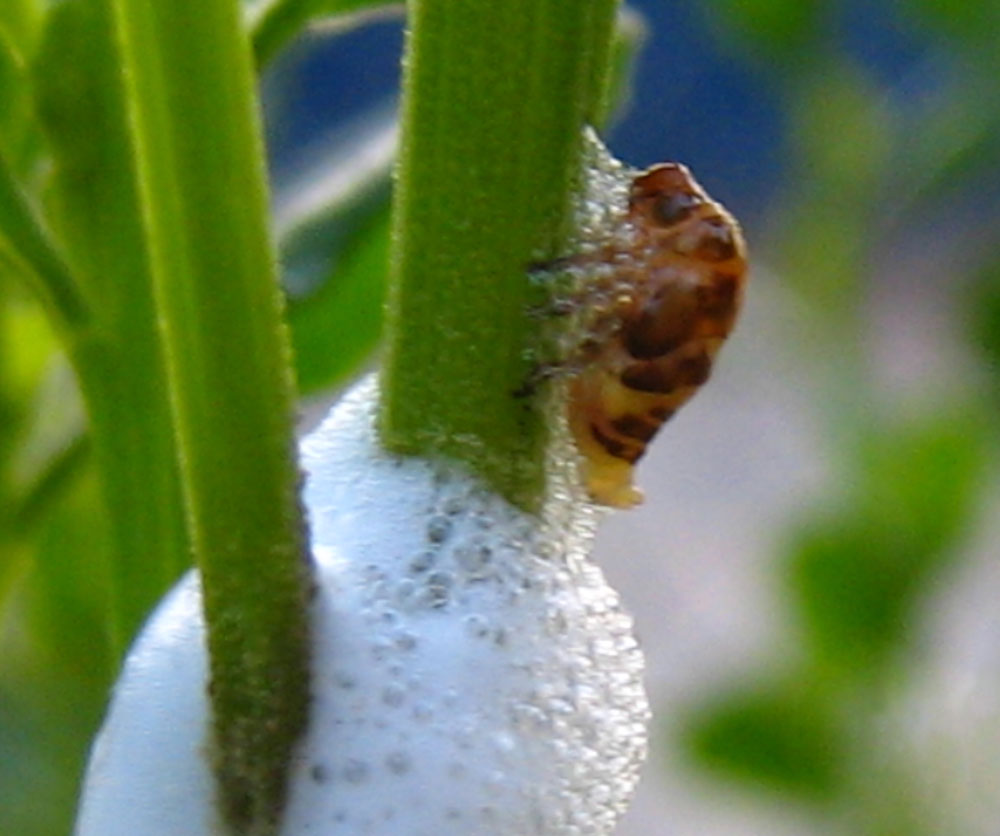 [IMG_3358.jpg]