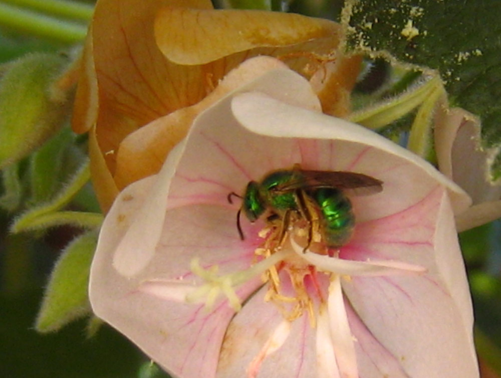 [IMG_3935.jpg]