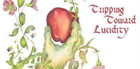 Tripping Toward Lucidity: Estella\