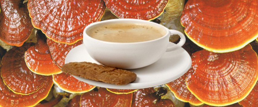 Az első egészséges kávé