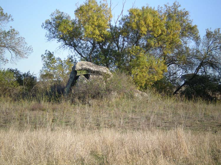 [Mest03Nov07AntaSilval5.jpg]
