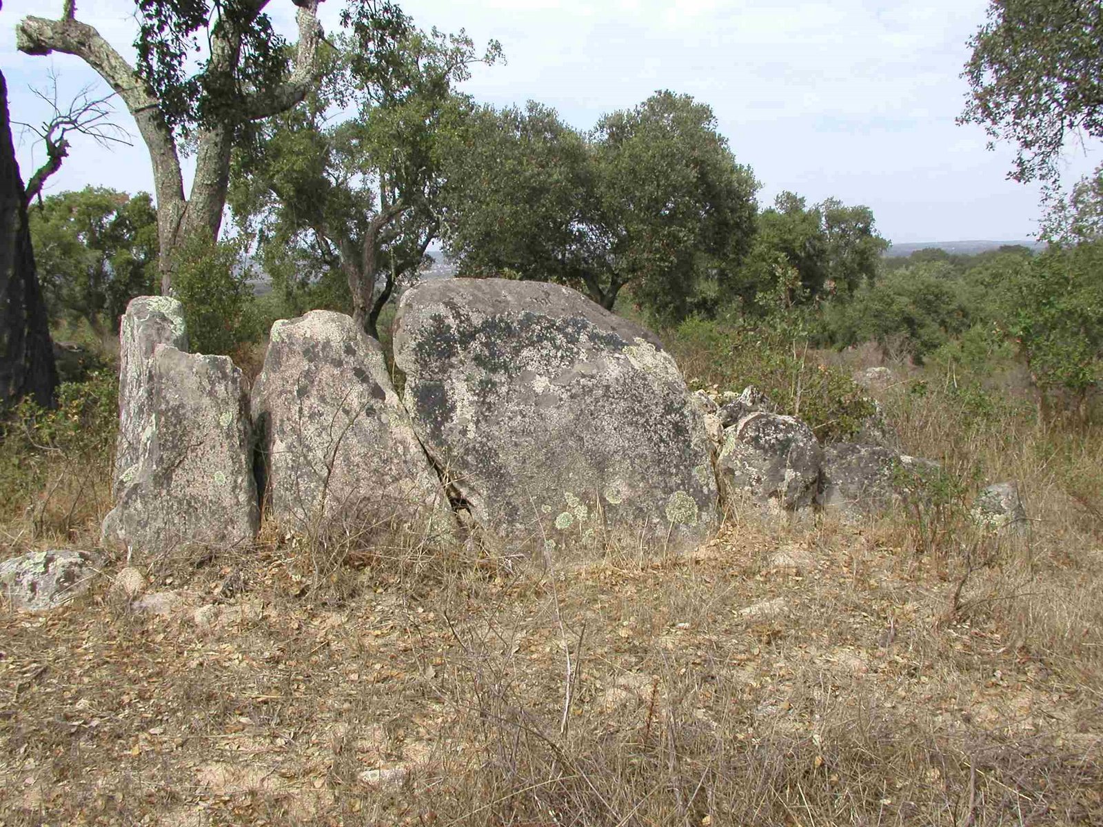 [Cabeceiras6a.jpg]
