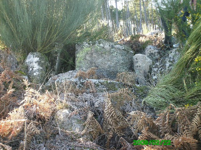 [Vale_de_Cabra1-CNS-_3725.JPG]