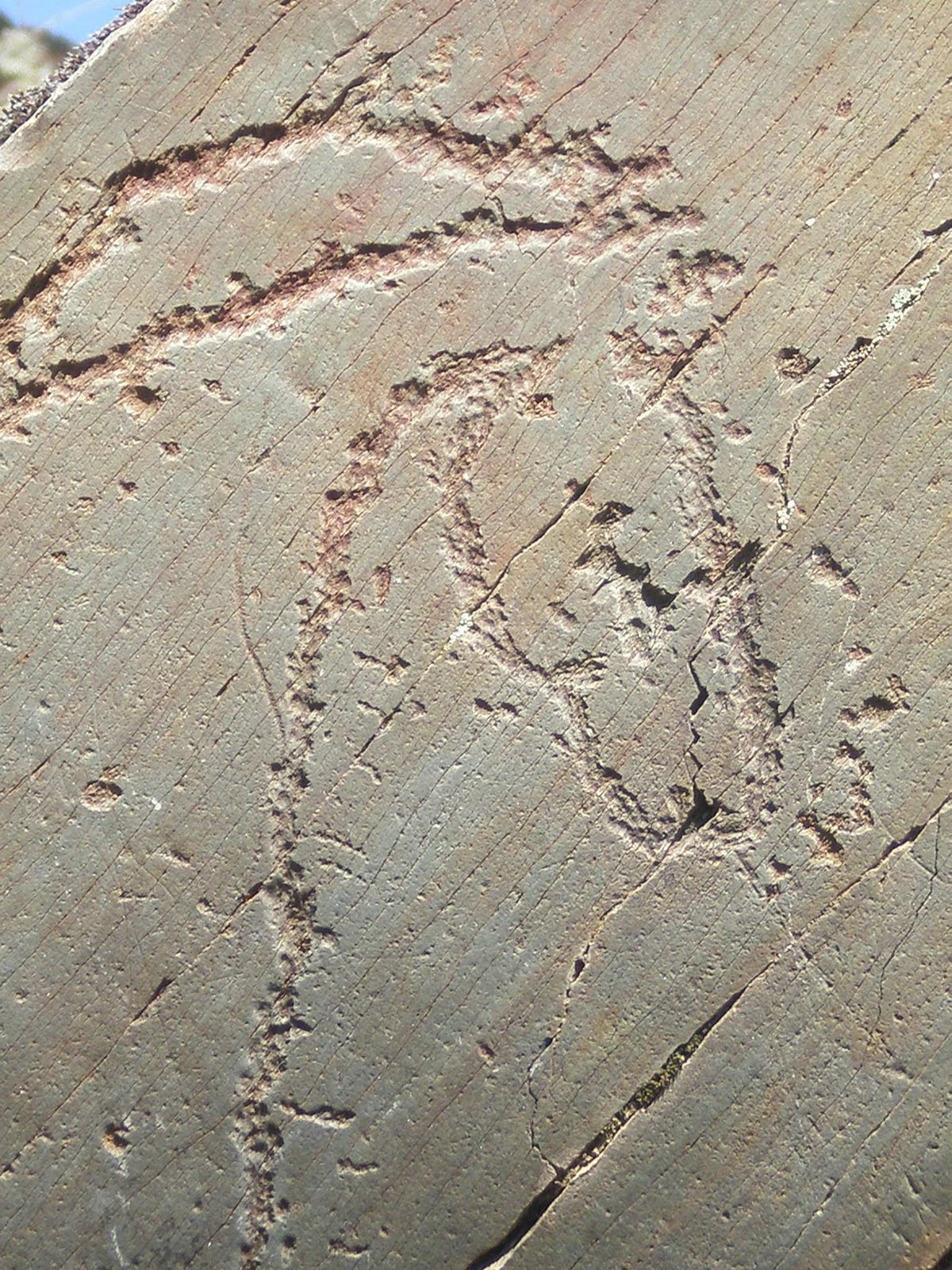 [20090701_SiegaVierde_0183.JPG]