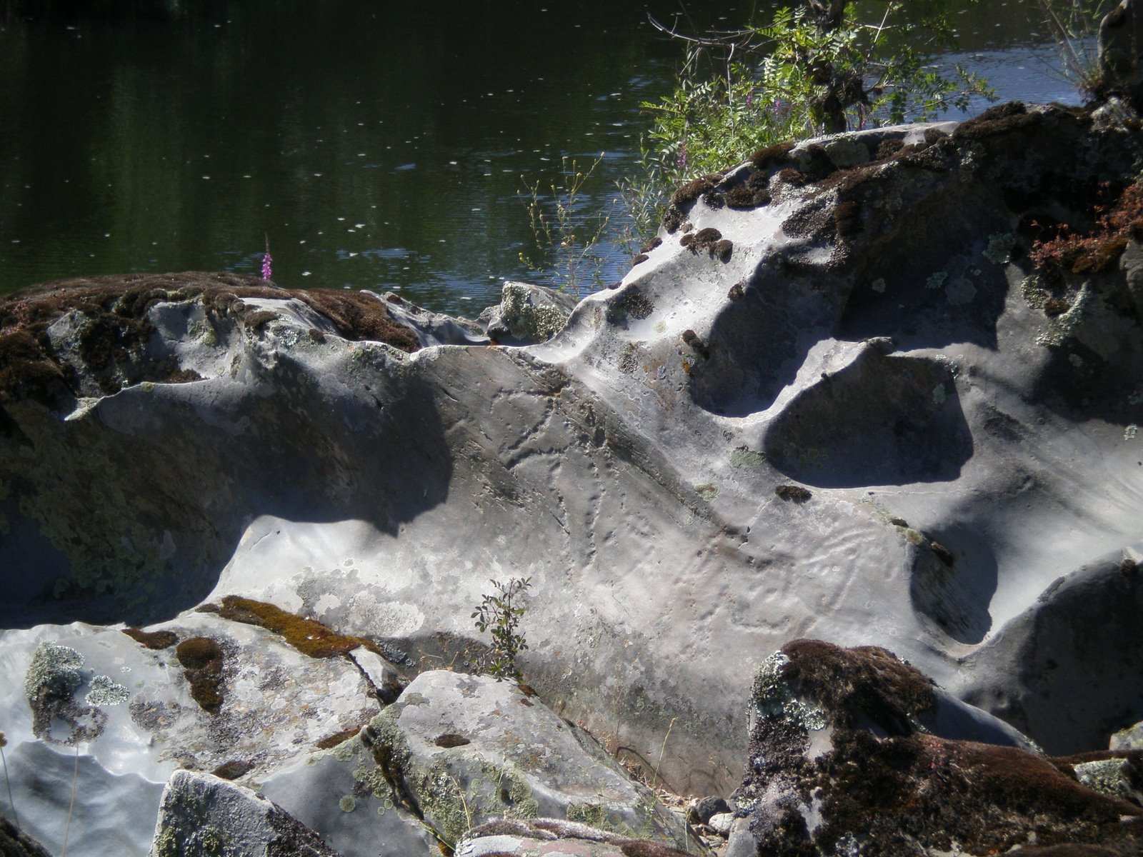 [20090701_SiegaVierde_0134.JPG]