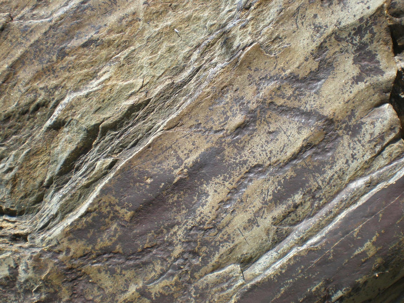 [20090701_SiegaVierde_0159.JPG]