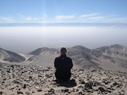 Looking into the desert