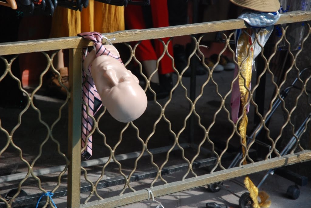 [DSC_1764.JPG]