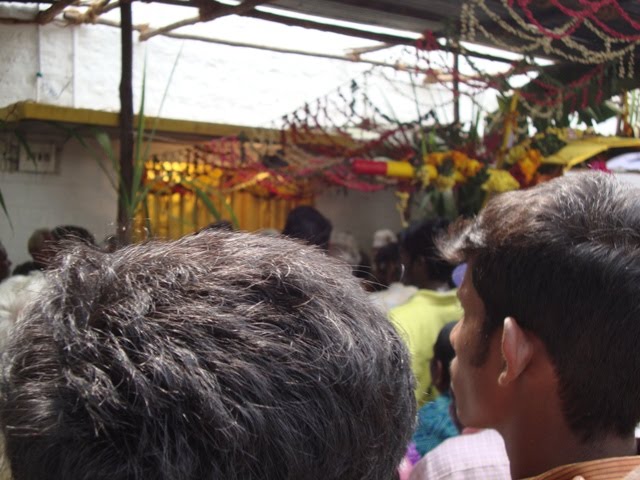 [DSC02769-773694.JPG]