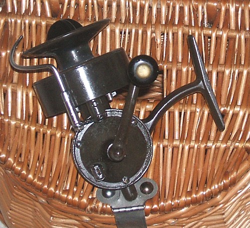 [46-2+PRIMER+PLANO.JPG]