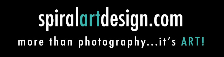 Spiral Art Design Logo