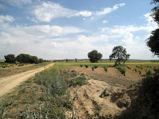 Llanuras en la provincia de Zamora