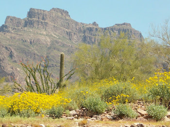 Superstition Mountain in the Spring