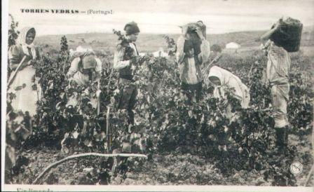 [Pict0541.jpg]