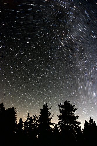 [stars+over+trees.jpg]