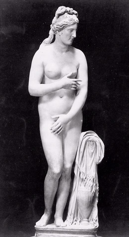 [AFRODITE++CAPITULINA.bmp]