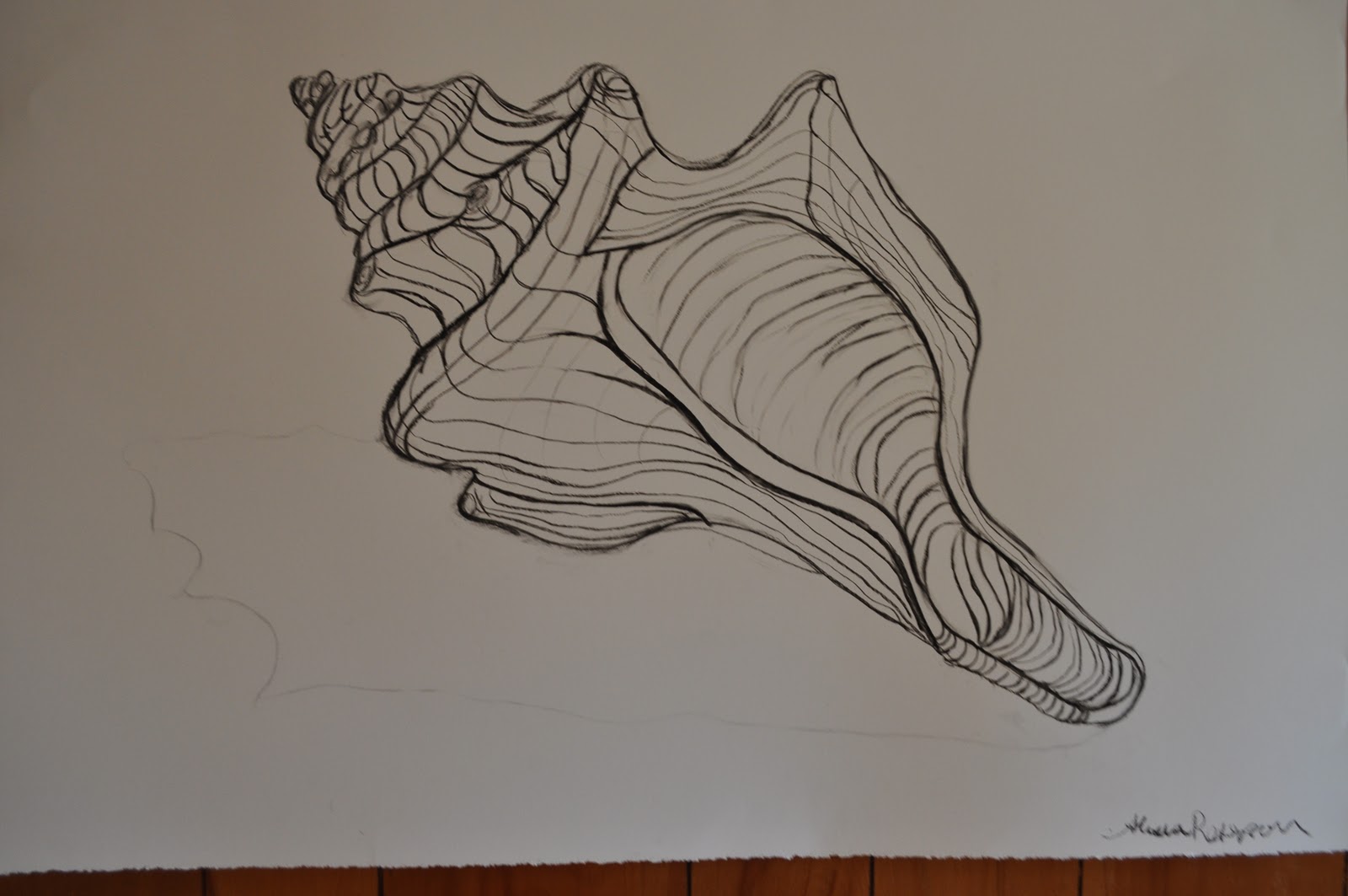 Contour Line Drawing Of Natural Forms : Images about contour drawing on pinterest