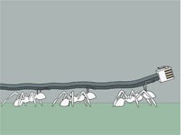 Electron Monger Ants