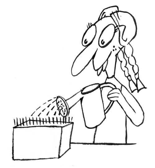 [mercado_propagate.jpg]