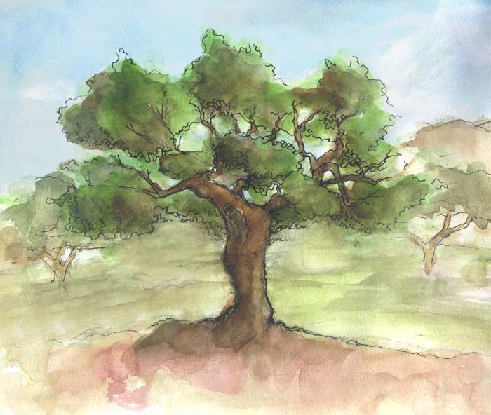 [creekside_mercado.jpg]