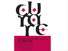 Logo Curare disegnato da Olmes Carretti